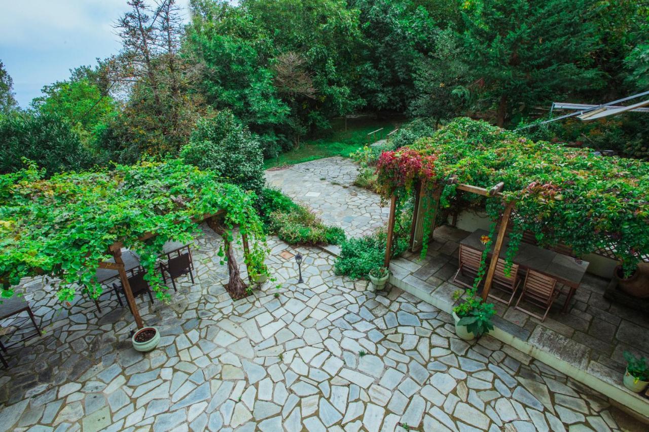 Ellis Full Guest House Tsagarada Zewnętrze zdjęcie